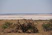 11 der blick auf die etosha-pfanne.jpg